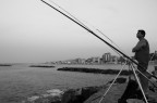 Pescatore Romagnolo Pescatore Romagnolo