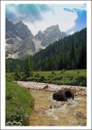 Rinfrescante Trentino Rinfrescante Trentino