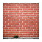 C e C graditi

Un saluto