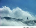 Dopo la tempesta Dopo la tempesta