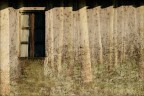 Un istante...oltre il muro Un istante...oltre il muro