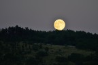 Moon rise Moon rise