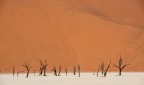 Dead Lake, Namibia Dead Lake, Namibia