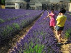 Il Fotografo Il Fotografo