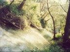 torrente torrente