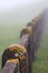 Fuga nela nebbia Fuga nela nebbia