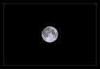 Moon Moon