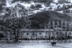 Cascine Cascine