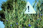 Indicazioni Indicazioni