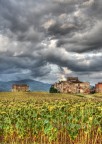 il campo il campo