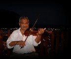 Violinista Violinista