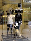 una famiglia obiettiva una famiglia obiettiva