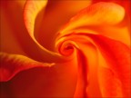 spirali spirali