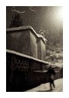 neve neve