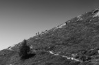 verso la vetta verso la vetta