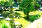 Japanese Garden Japanese Garden