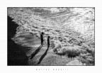 la meraviglia del mare... la meraviglia del mare...