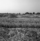 Hasselblad 500 c/m Ilford HP5+ 400 ISO, HC110 a 24�, Epson V750.