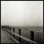 Nebbia Nebbia