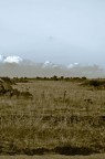 Salta e corri verso il cielo