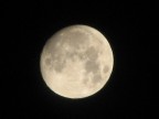 luna 1 luna 1