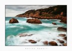 la meraviglia del mare... la meraviglia del mare...