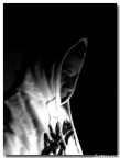 ..Desolato..