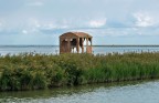 Delta del Po : Quanto rimane dell'alluvione nel Polesine Delta del Po : Quanto rimane dell'alluvione nel Polesine