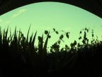 ELIPSE ELIPSE