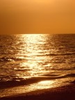 ORANGE SKY ORANGE SKY