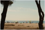Presenze...e un mare lontano.