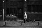 Lille - dogs Lille - dogs