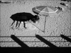 Nel buco nero Nel buco nero