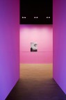 museum museum