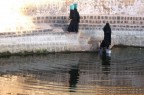Donne alla cisterna Donne alla cisterna