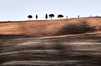 Minimale Minimale