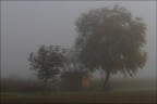 Mattinata autunnale Mattinata autunnale