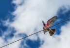 Un saluto dal cielo Un saluto dal cielo