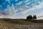 Cipressi Cipressi