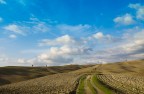 Landscape Landscape