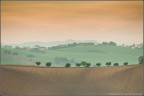 Pastelli Pastelli