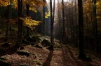Primo autunno Primo autunno