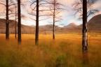 Wild land Wild land