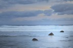 Gray- blue Gray- blue