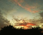 Alba Alba