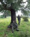 Brothers in arms Brothers in arms