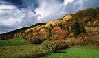 AUTUNNO AUTUNNO