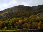 Tavolozza autunnale Tavolozza autunnale