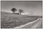 Landscape 1 Landscape 1