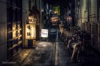 Tokyo, si sta facendo tardi Tokyo, si sta facendo tardi